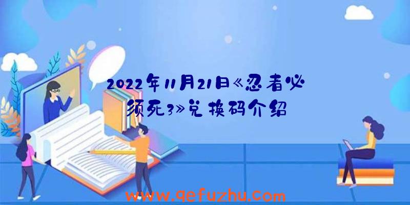 2022年11月21日《忍者必须死3》兑换码介绍