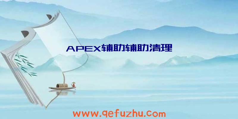 APEX辅助辅助清理