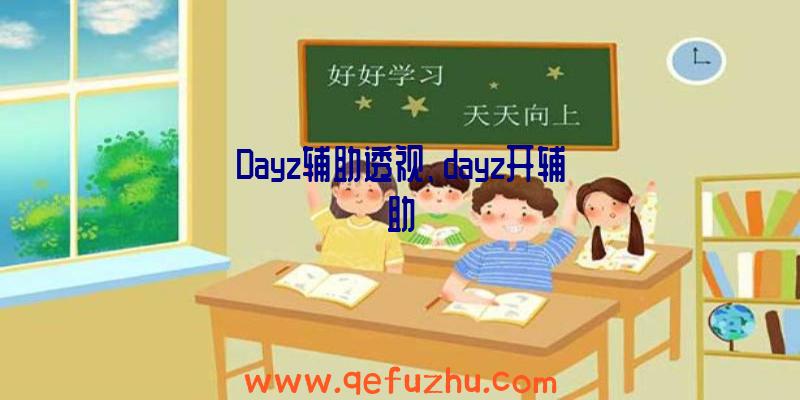 Dayz辅助透视、dayz开辅助