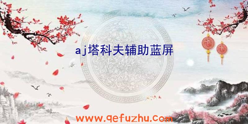 aj塔科夫辅助蓝屏