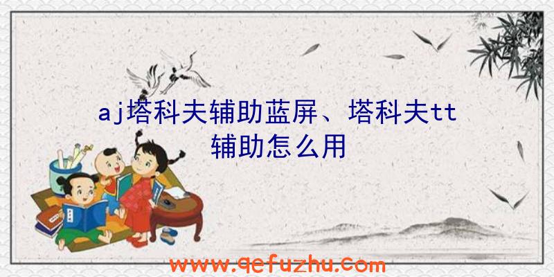 aj塔科夫辅助蓝屏、塔科夫tt辅助怎么用