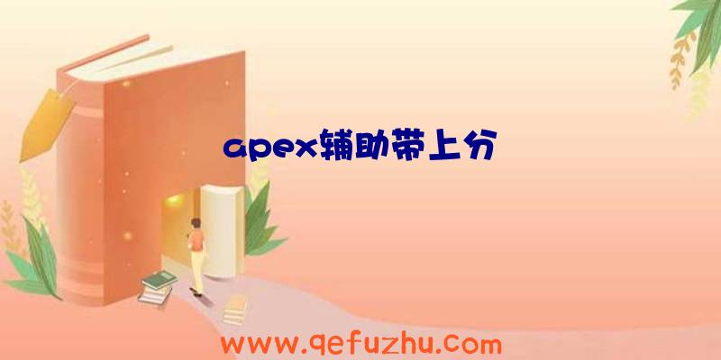 apex辅助带上分