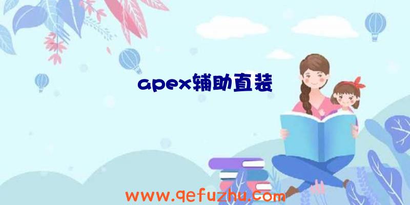apex辅助直装