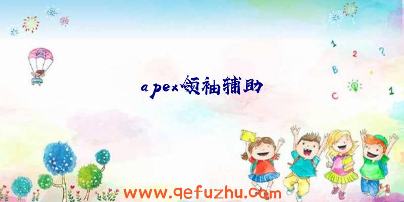 apex领袖辅助
