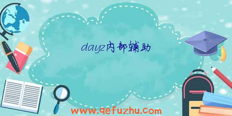 dayz内部辅助