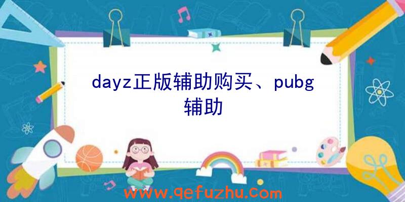 dayz正版辅助购买、pubg辅助