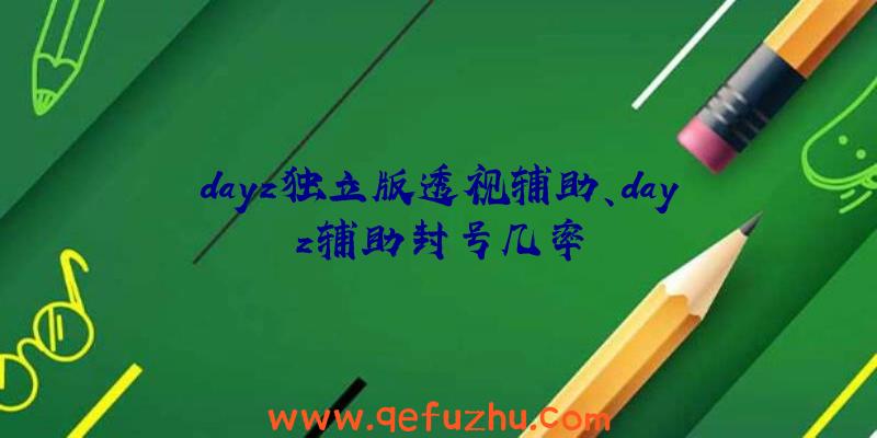 dayz独立版透视辅助、dayz辅助封号几率