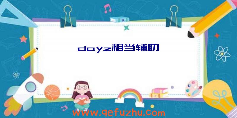 dayz相当辅助