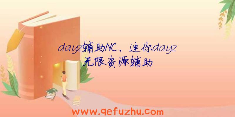 dayz辅助NC、迷你dayz无限资源辅助