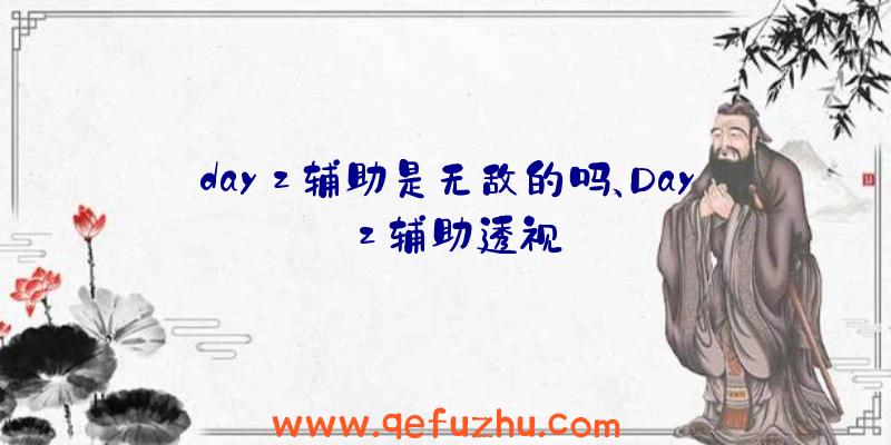 dayz辅助是无敌的吗、Dayz辅助透视