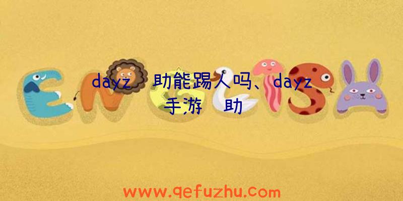 dayz辅助能踢人吗、dayz手游辅助