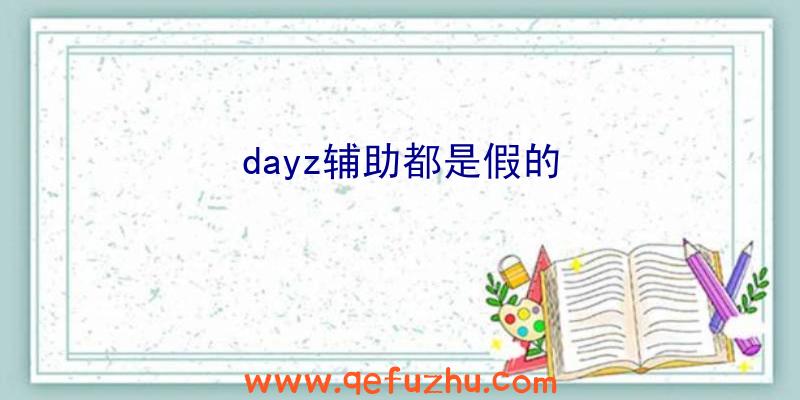 dayz辅助都是假的