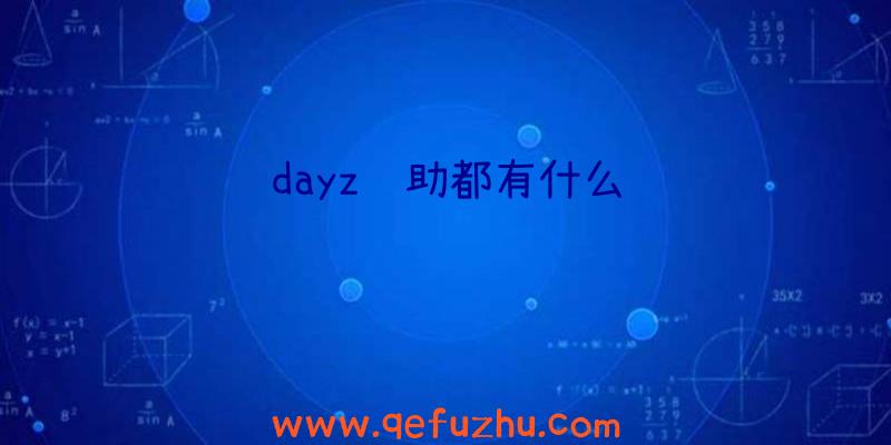 dayz辅助都有什么