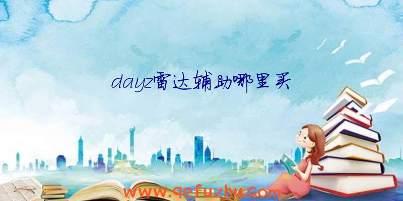 dayz雷达辅助哪里买