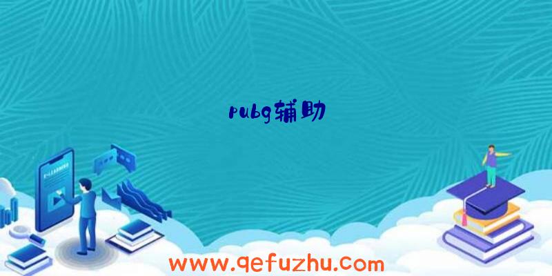 pubg辅助