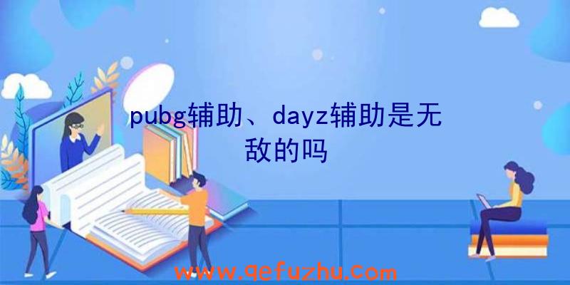pubg辅助、dayz辅助是无敌的吗