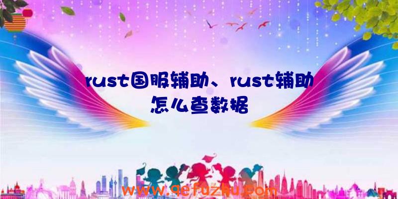 rust国服辅助、rust辅助怎么查数据