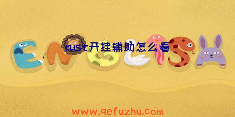 rust开挂辅助怎么看