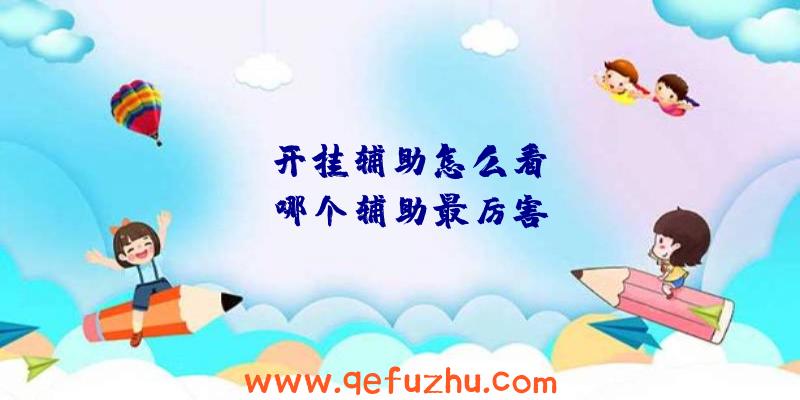 rust开挂辅助怎么看、rust哪个辅助最厉害