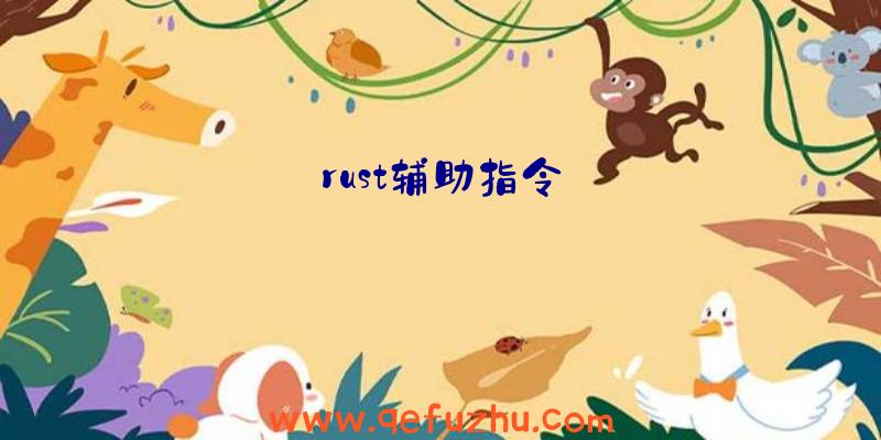 rust辅助指令