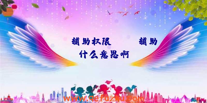 rust辅助权限、rust辅助什么意思啊