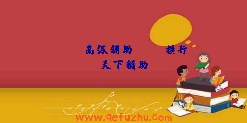 rust高级辅助、rust横行天下辅助