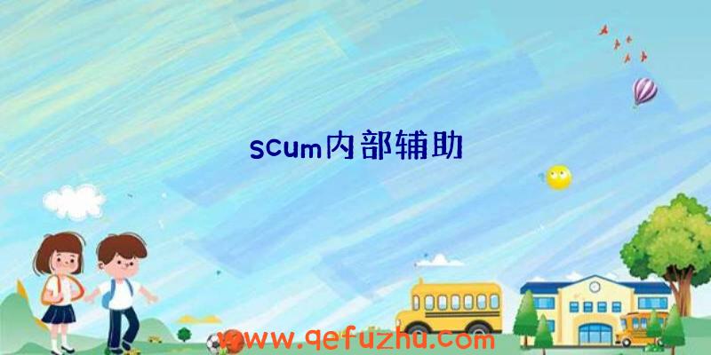 scum内部辅助