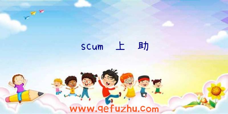scum线上辅助