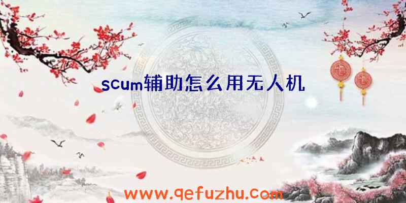 scum辅助怎么用无人机