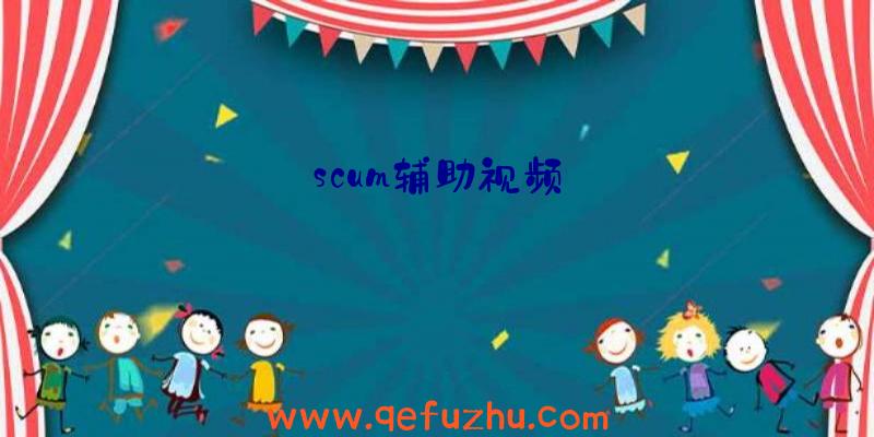 scum辅助视频