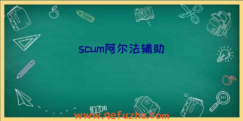 scum阿尔法辅助