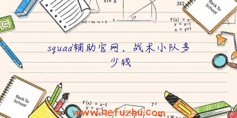 squad辅助官网、战术小队多少钱
