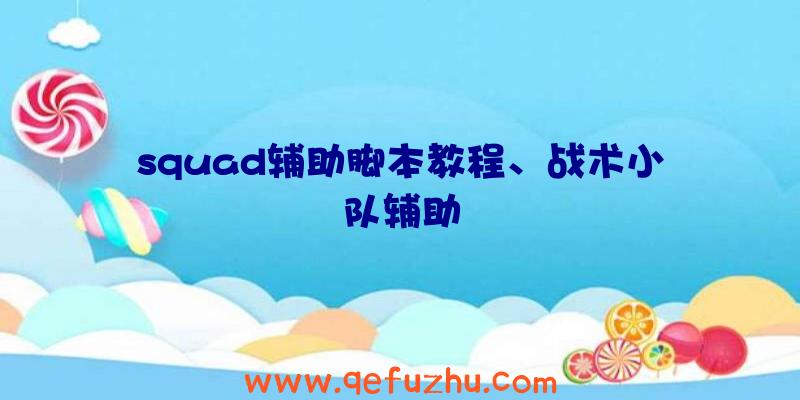 squad辅助脚本教程、战术小队辅助