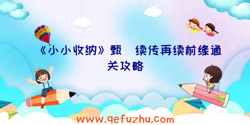 《小小收纳》甄嬛续传再续前缘通关攻略