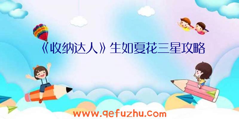 《收纳达人》生如夏花三星攻略