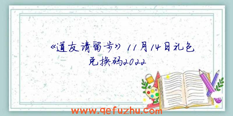 《道友请留步》11月14日礼包兑换码2022