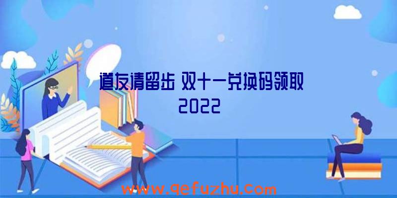 《道友请留步》双十一兑换码领取2022