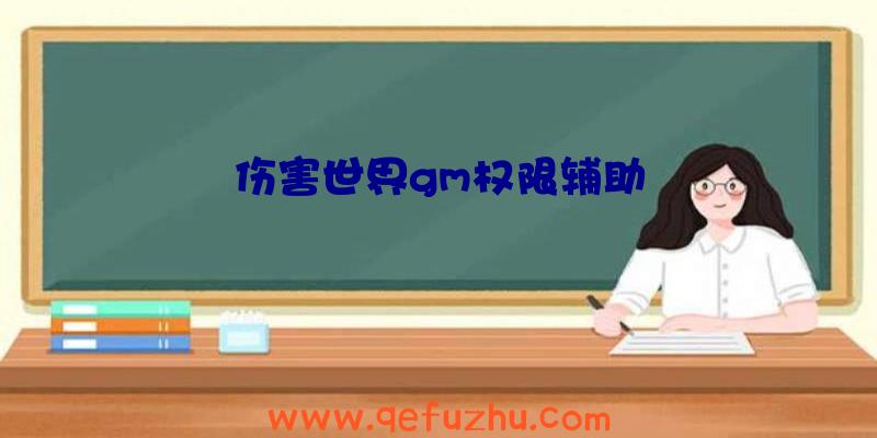 伤害世界gm权限辅助