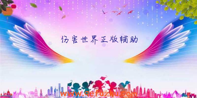 伤害世界正版辅助