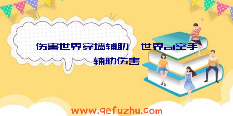 伤害世界穿墙辅助、世界ol空手辅助伤害