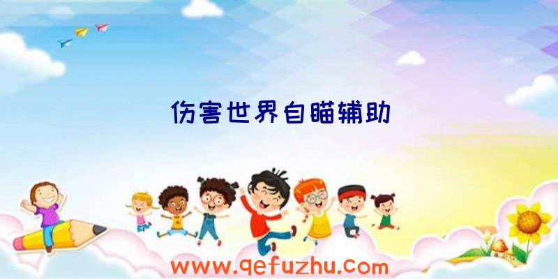 伤害世界自瞄辅助