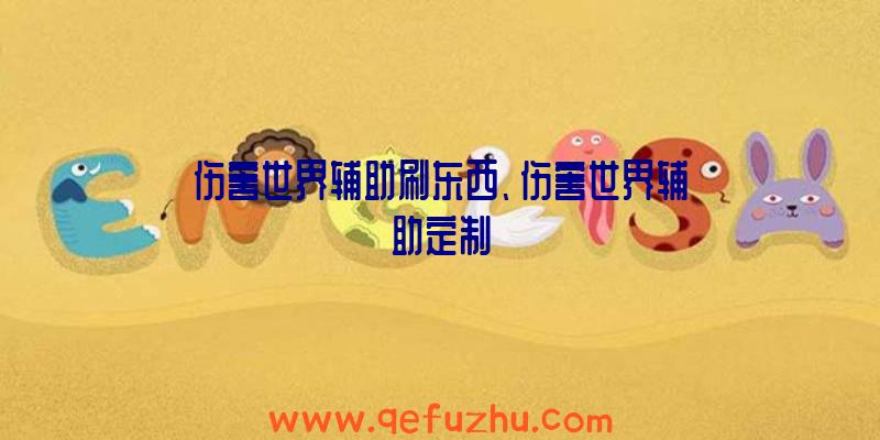 伤害世界辅助刷东西、伤害世界辅助定制