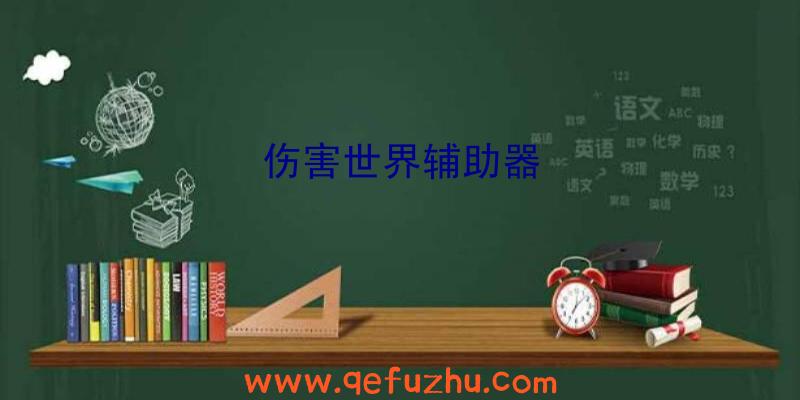 伤害世界辅助器