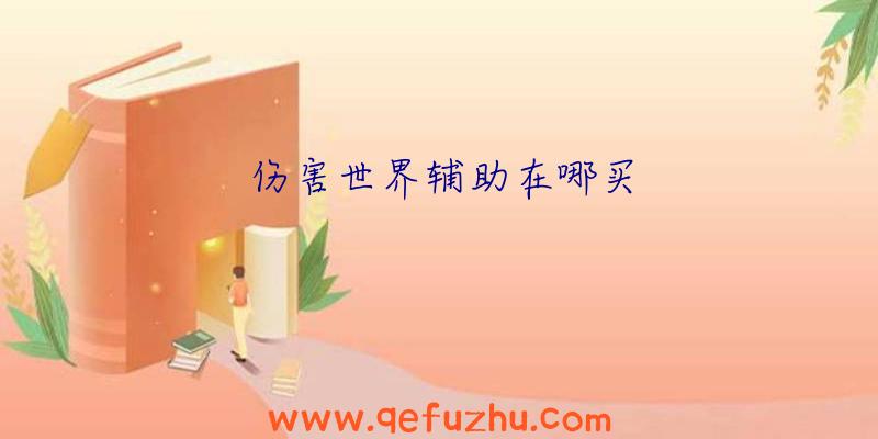 伤害世界辅助在哪买