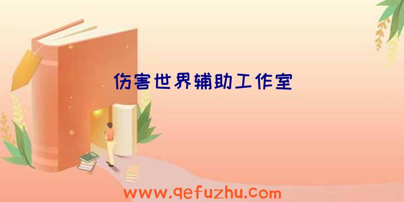 伤害世界辅助工作室