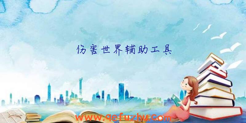 伤害世界辅助工具