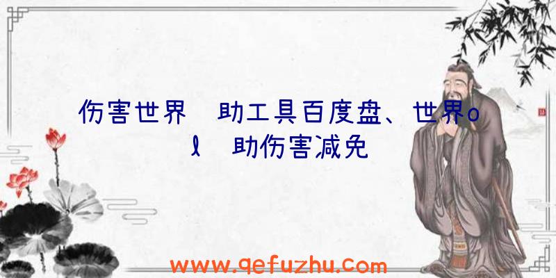 伤害世界辅助工具百度盘、世界ol辅助伤害减免