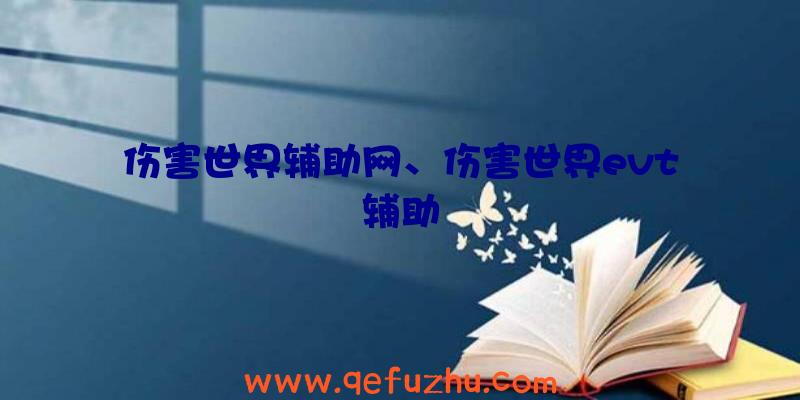 伤害世界辅助网、伤害世界evt辅助