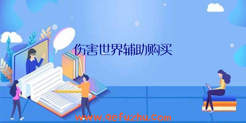 伤害世界辅助购买