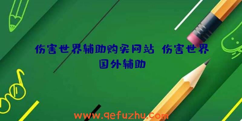 伤害世界辅助购买网站、伤害世界国外辅助